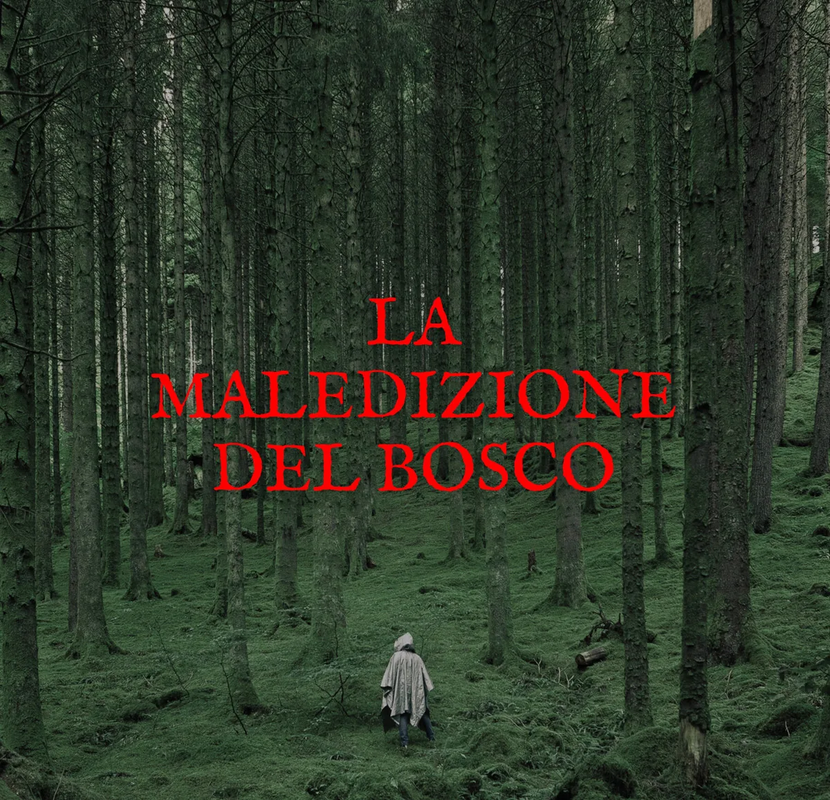 Spezzate la maledizione prima che il bosco vi reclami. — Adventura Escape Room Pesaro